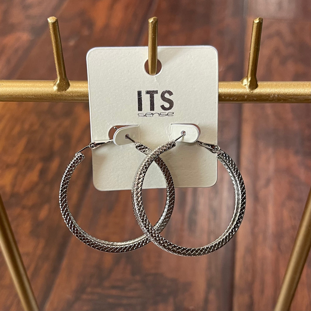 E0203 silver hoop